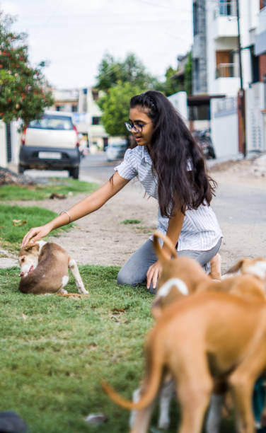 girl playing with puppies