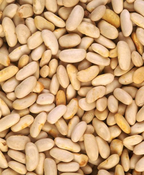 istock White Beans, phaseolus vulgaris 1254525256