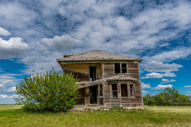 istock Birds and abandoned prairie farmhouse 1254525265
