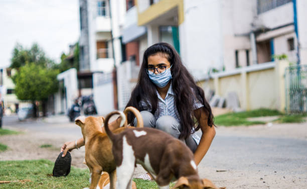istock girl playing with puppies 1254525283