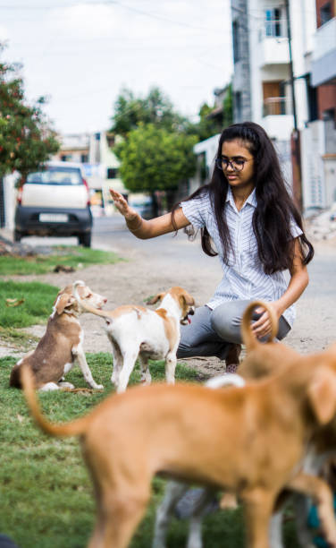 istock girl playing with puppies 1254525298