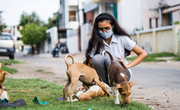 istock girl playing with puppies 1254525419