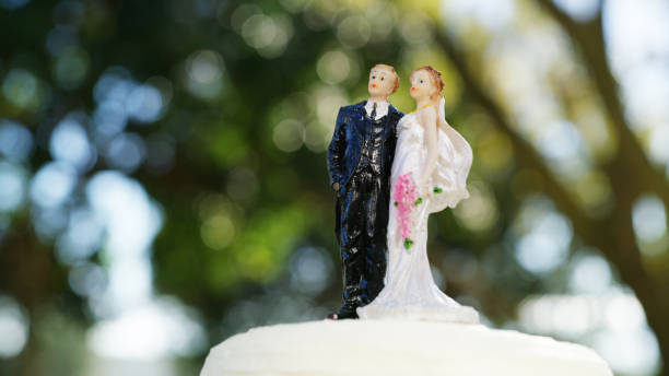 istock Today is all about the bride and the groom 1254527375