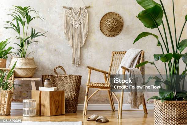 Stylish And Floral Composition Of Living Room Interior With Rattan Armchair A Lot Of Tropical Plants In Design Pots Decoration Macrame And Elegant Personal Accessories In Cozy Home Decor Stock Photo - Download Image Now