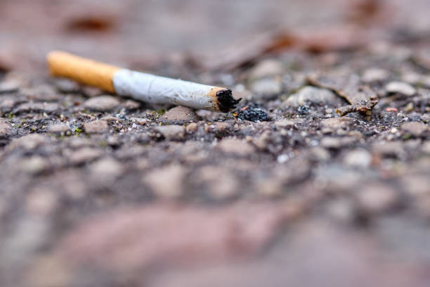istock Thrown away cigarette end lying on the ground 1254532440