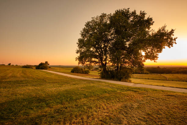 istock Beautiful countryside landscape during sunset with single tree 1254532563