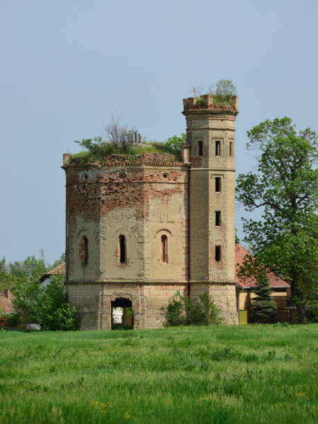 istock mall abandoned ruined castle overgrown in vegetation 1254537234