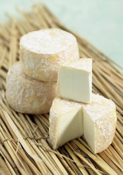 istock French Crottin Goat Cheese 1254540276