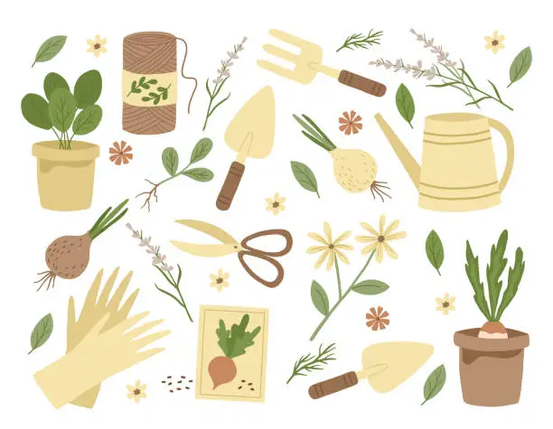 Vector illustration of Gardening tools, garden flowers and plants. Backyard hobby equipment.