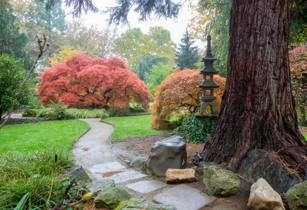 charming colors of autumn - japanese garden in Leverkusen in Germany. Alittle foggy.