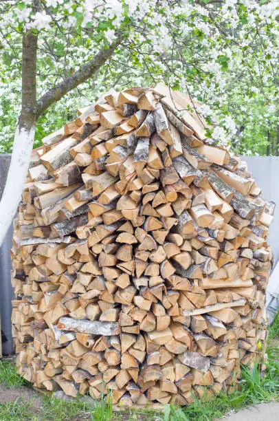 Stack of chopped firewood in the country