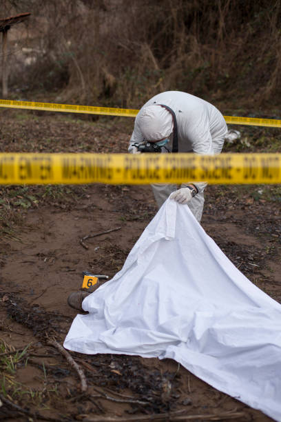 Crime scene Crime scene criminal investigation photos stock pictures, royalty-free photos & images