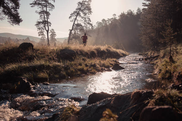 istock Morning jogging in a forest 1254546716