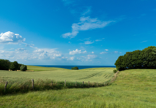 rural landscape by the baltic sea near Kiel