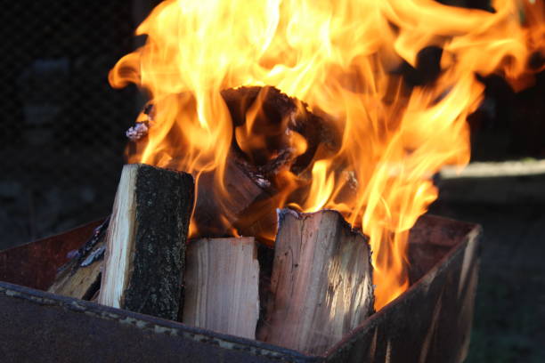 istock Fire in the fireplace close-up 1254548720