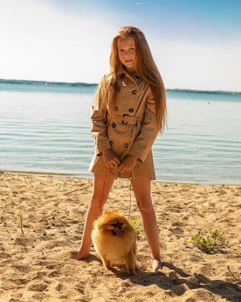 portret pięknej rudowłosej dziewczynki 10-latki na piaszczystej plaży przy wodzie ze wspaniałym pomorskiem. treści fotograficzne dla hodowli spitz, weterynarzy, psów w sieciach społecznościowych, blogach, stronie internetowej - 10 11 years child little girls offspring zdjęcia i obrazy z banku zdjęć