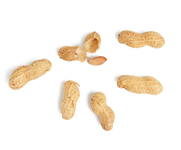 istock heap of peanuts in shell and broken, food isolated on white background 1254549967