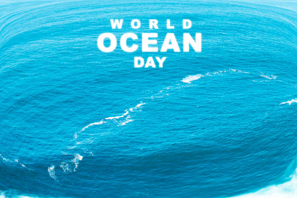 Ocean view with World Ocean Day text