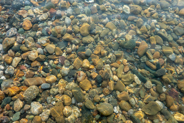 istock Sea, beach and sand in summer 1254551371
