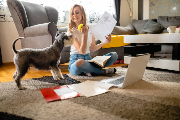 istock Young woman looking at work documents while throwing a ball to her dog 1254551568
