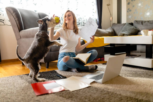 istock Work can wait now it's playtime with my lovely dog 1254551577