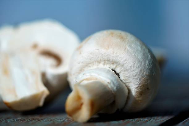 istock Close up view on white fresh mushroom mushrooms 1254553153