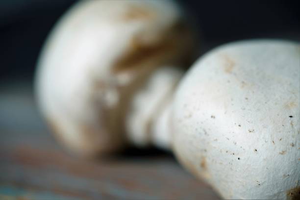 istock Close up view on white fresh mushroom mushrooms 1254553154
