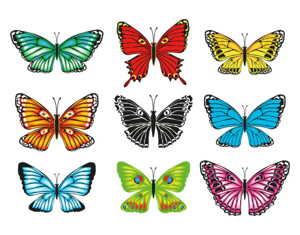 istock Set of colorful butterflies on white background 1254553219