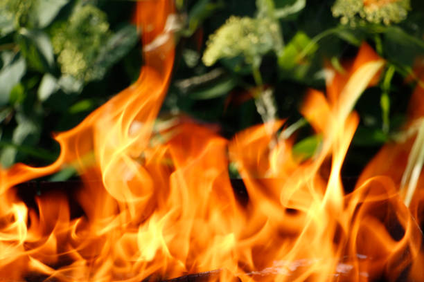 Texture. Bonfire. Orange flame of a fire. Bonfire close. Fire in nature. Bonfire background. Blurred photo. Blurred texture.