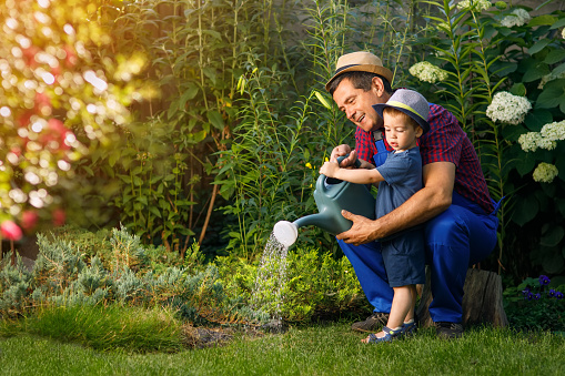 little boy and happy grandfather gardener with watering can in garden