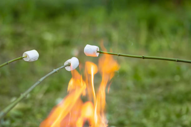 istock toasted marshmallow on wooden stick 1254557762