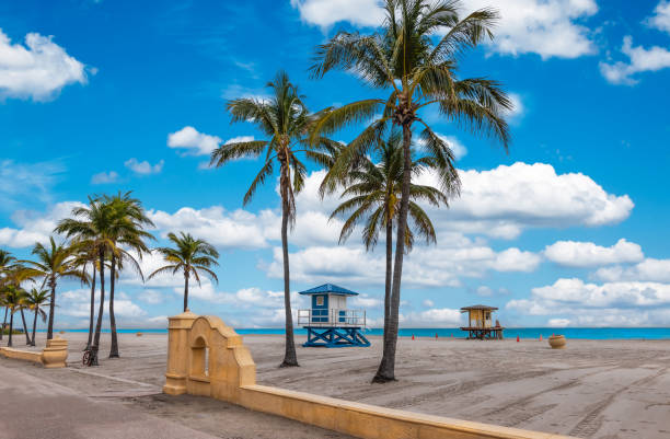 Hollywood Beach with tropical coconut palm trees and boardwalk in Florida. Colorful image with tropical beach and palm trees, lifeguard towers and boardwalk at the beach of Hollywood Florida, between Fort Lauderdale and Miami Beach, USA. hollywood florida photos stock pictures, royalty-free photos & images