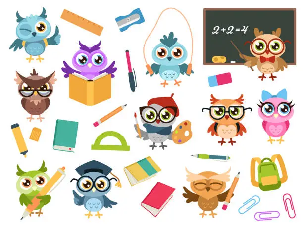 Vector illustration of School owls. Color cute birds studying in school and teacher, owl with books and stationery. Teaching education cartoon vector characters