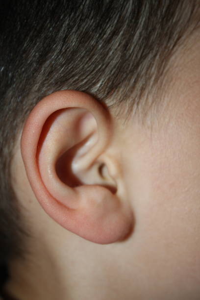 istock human ear and hair close up 1254563896