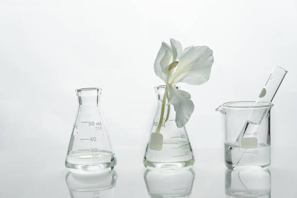glasvetenskapkolv och bägare med vatten och vit mjuk naturlig blomma för kosmetisk forskningsbakgrund - flower dna bildbanksfoton och bilder