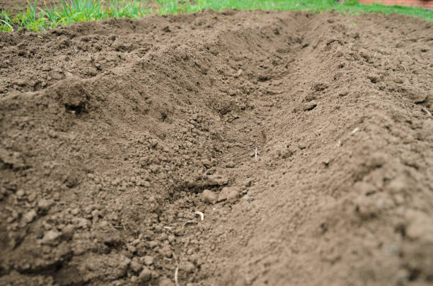 istock Furrow on bed in cloudy spring day 1254565587