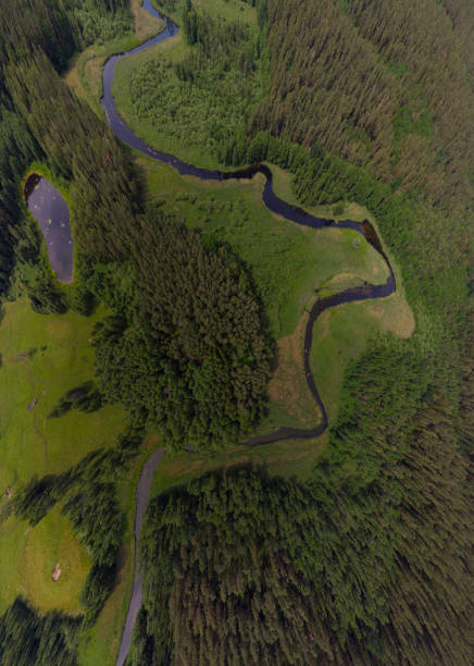 aerial view of the meandering river in a rural landscape