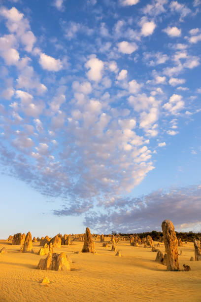 istock Pinnacles Desert in western Australia 1254569319