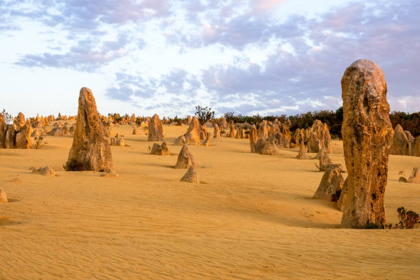 istock Pinnacles Desert in western Australia 1254569326
