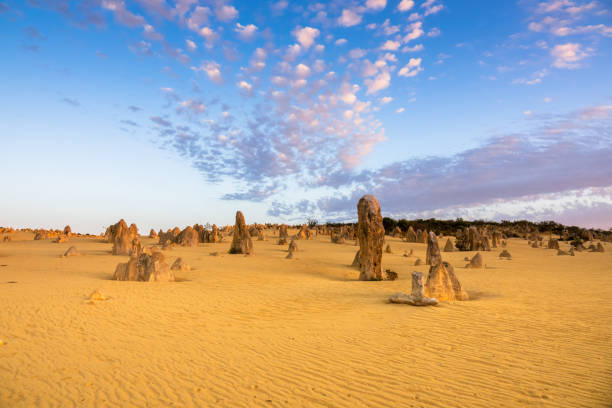 istock Pinnacles Desert in western Australia 1254569329