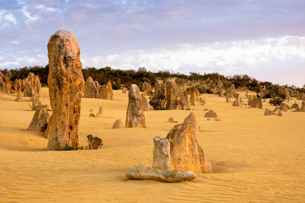 istock Pinnacles Desert in western Australia 1254569345