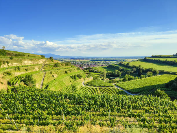 beautiful scenery at Kaiserstuhl Germany