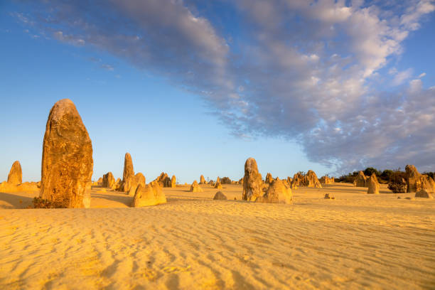 istock Pinnacles Desert in western Australia 1254569431