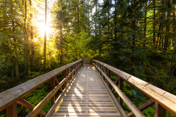 istock Beautiful Canadian Nature 1254569694