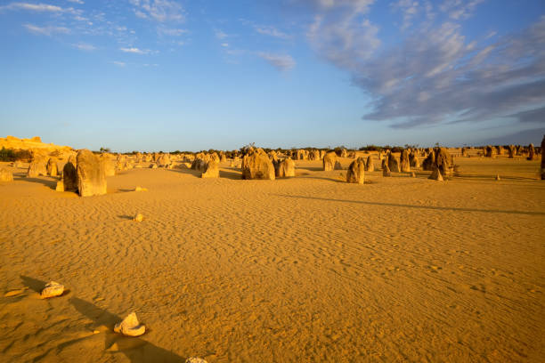 istock Pinnacles sand desert Western Australia 1254569774