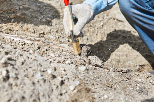 istock paleontologist's hand with brush cleansing fossil bone from sand 1254571141