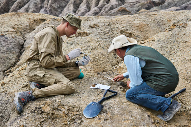 istock paleontologists have discovered a fossils in the desert 1254571199