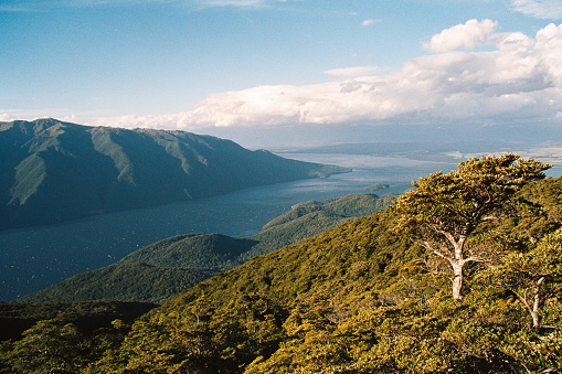 Typical New Zealand Landscape Lake Scene