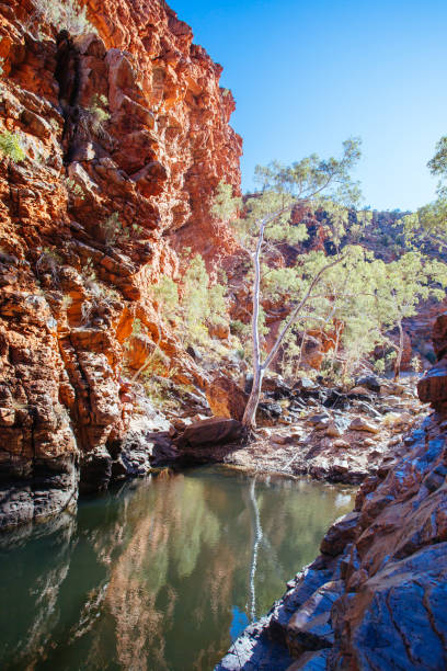 istock Serpentine Gorge Northern Territory Australia 1254571934