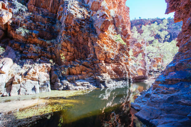 istock Serpentine Gorge Northern Territory Australia 1254571950